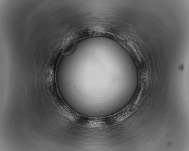 X0000101210708200806271415