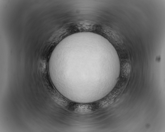 X0000101210709200806271415