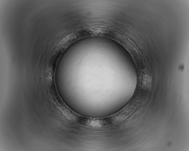 X0000101210710200806271415