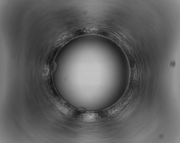 X0000101210711200806271415