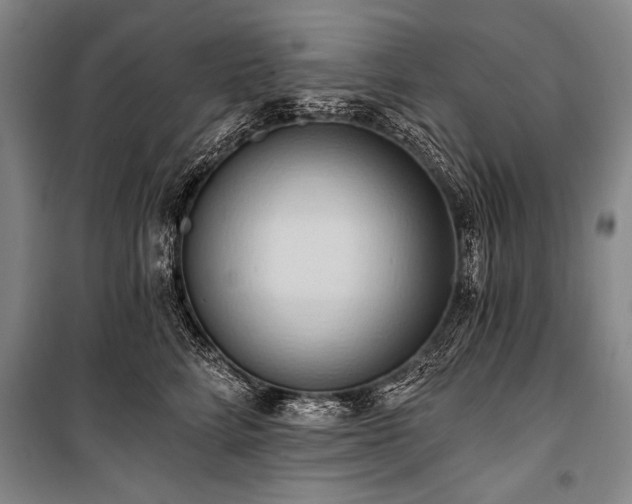 X0000101210712200806271415