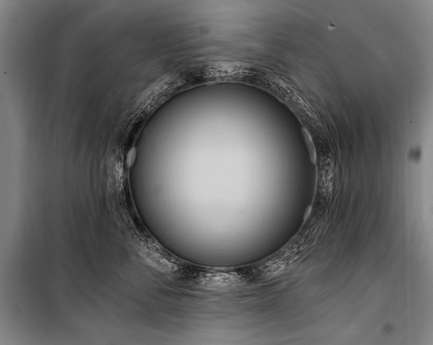 X0000101210716200806271415