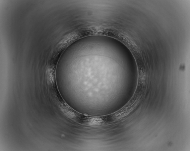 X0000101210719200806271415