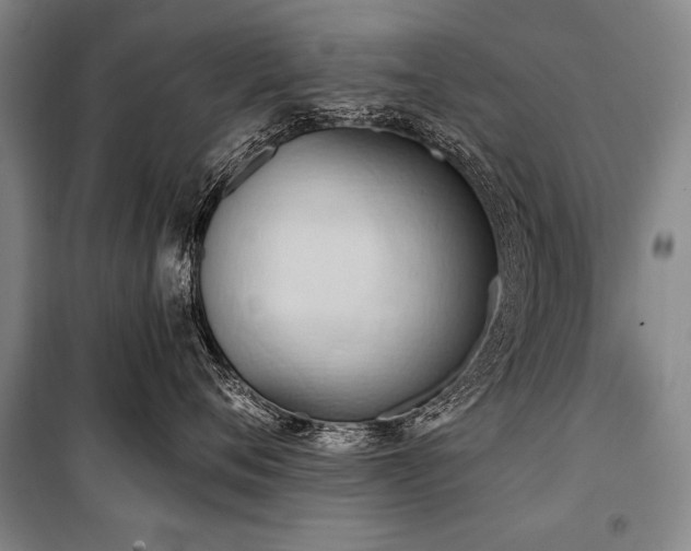 X0000101210720200806271415