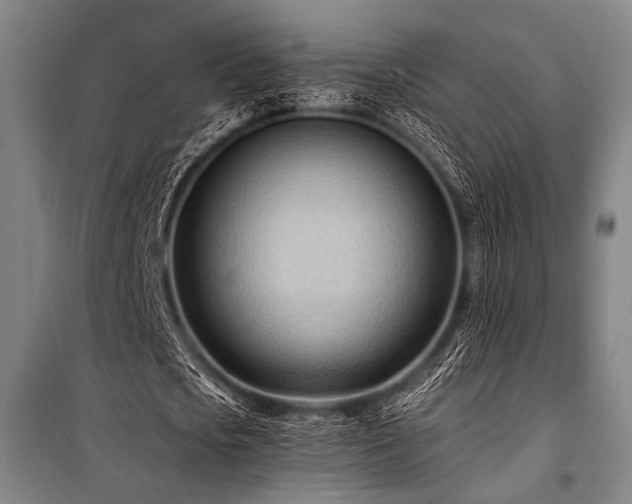 X0000101210721200806271414