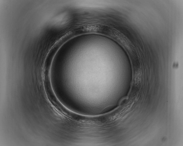 X0000101210722200806271414