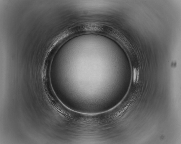 X0000101210723200806271414