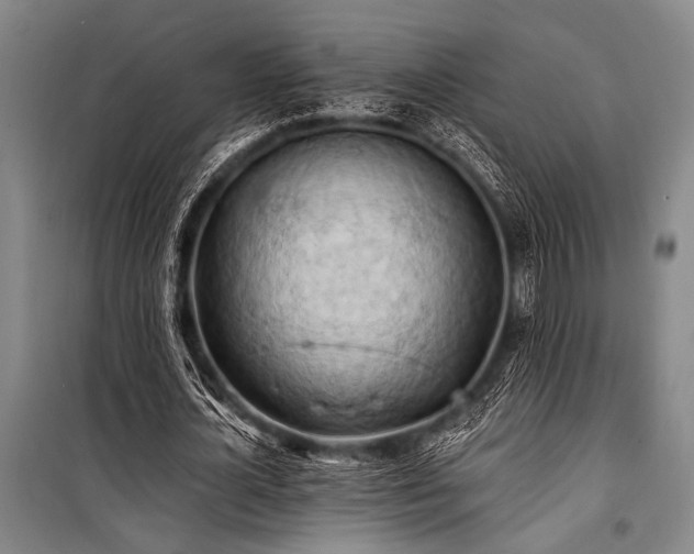 X0000101210724200806271414