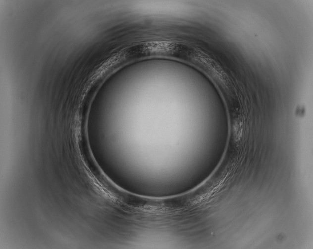 X0000101210725200806271414