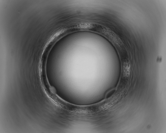 X0000101210726200806271414