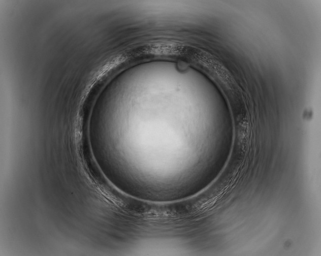 X0000101210727200806271414