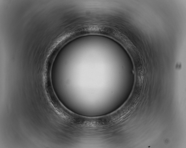 X0000101210728200806271414