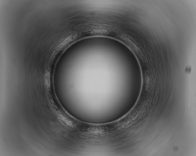 X0000101210729200806271414