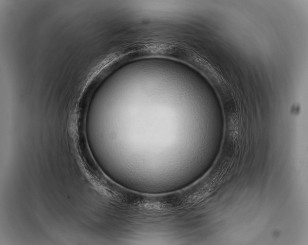 X0000101210730200806271414