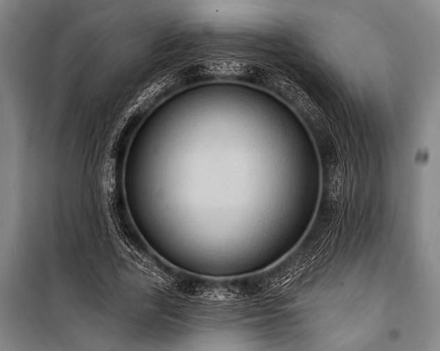 X0000101210731200806271414