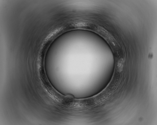 X0000101210732200806271414