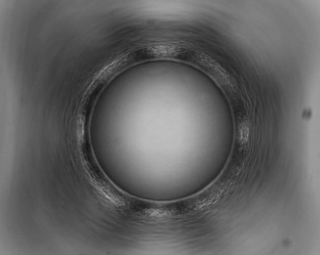 X0000101210733200806271414