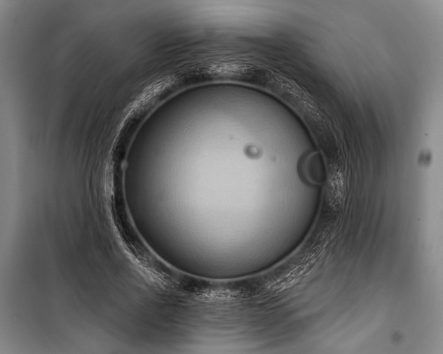 X0000101210734200806271414