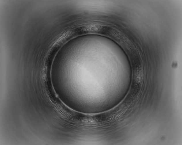 X0000101210735200806271414