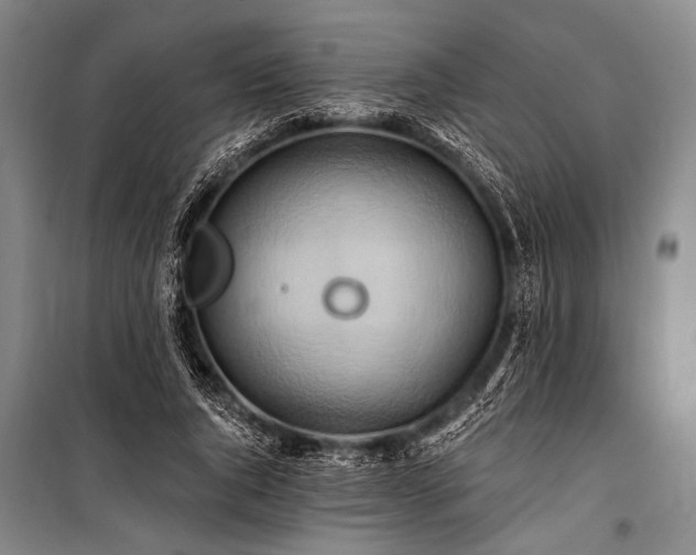 X0000101210736200806271414