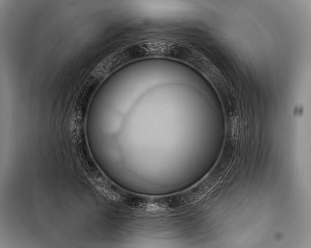 X0000101210737200806271414