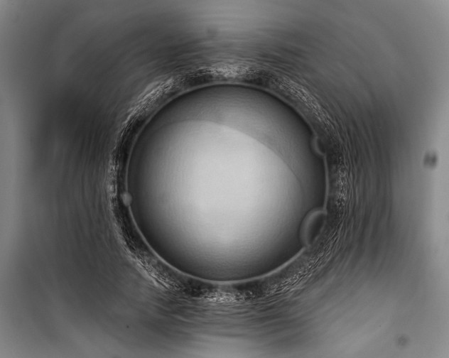 X0000101210738200806271414