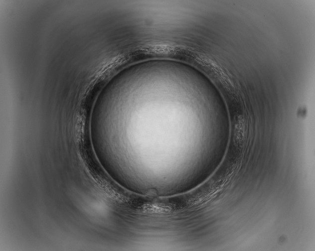 X0000101210739200806271414