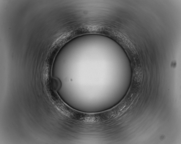 X0000101210740200806271414