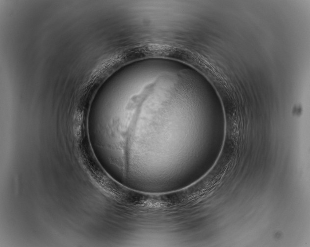 X0000101210742200806271414