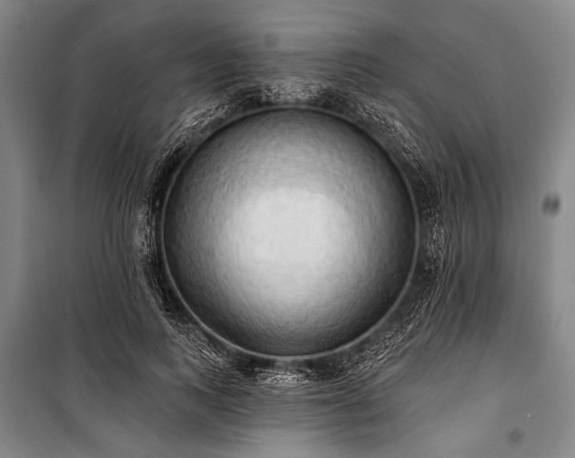 X0000101210743200806271414