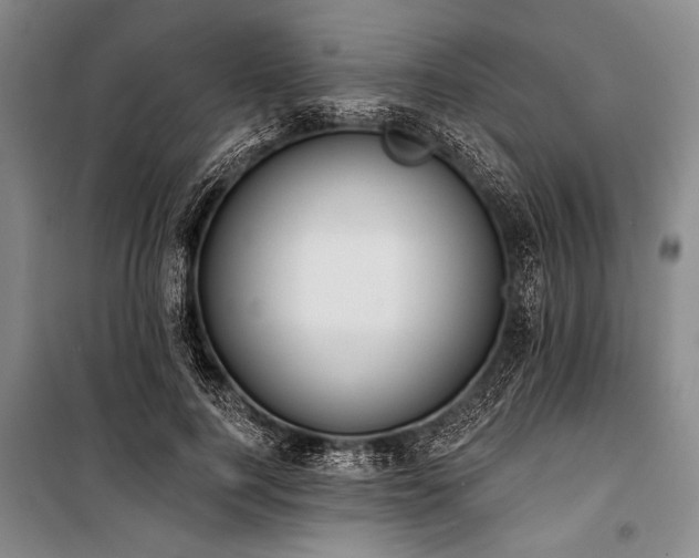 X0000101210744200806271414