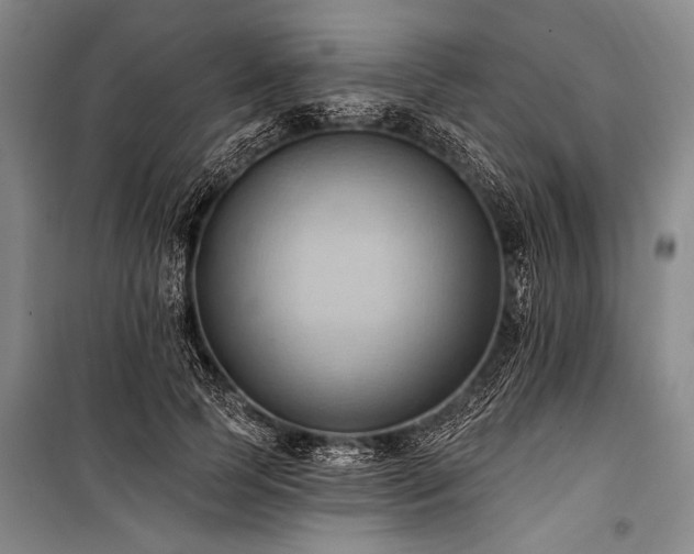 X0000101210745200806271414