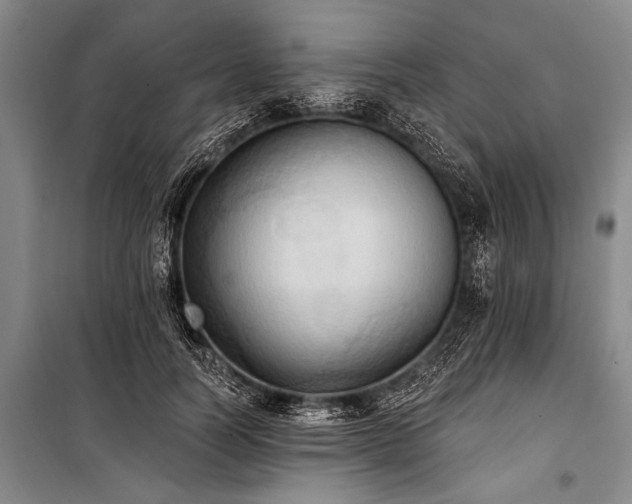 X0000101210746200806271414