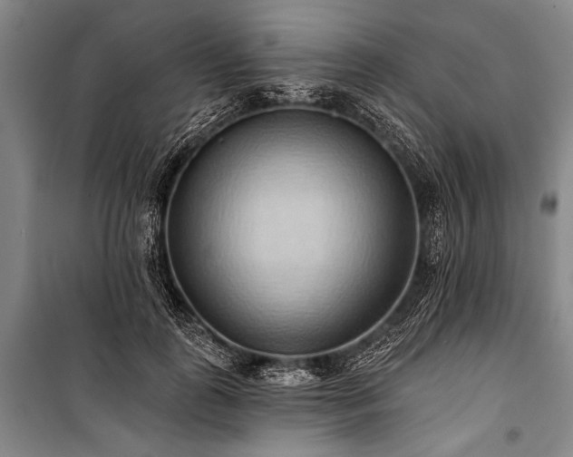 X0000101210747200806271414