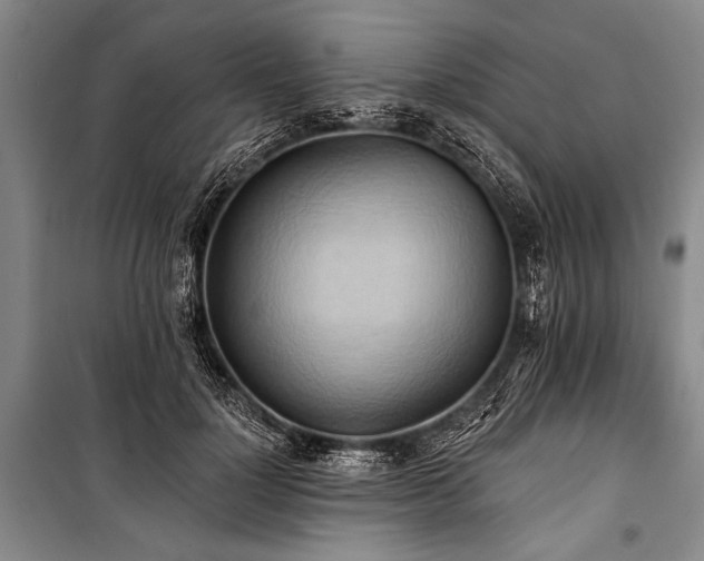 X0000101210748200806271414