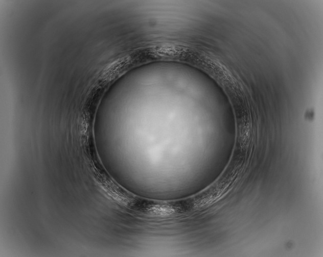 X0000101210749200806271414