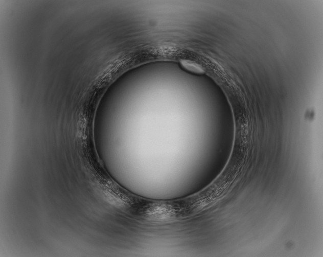 X0000101210750200806271414