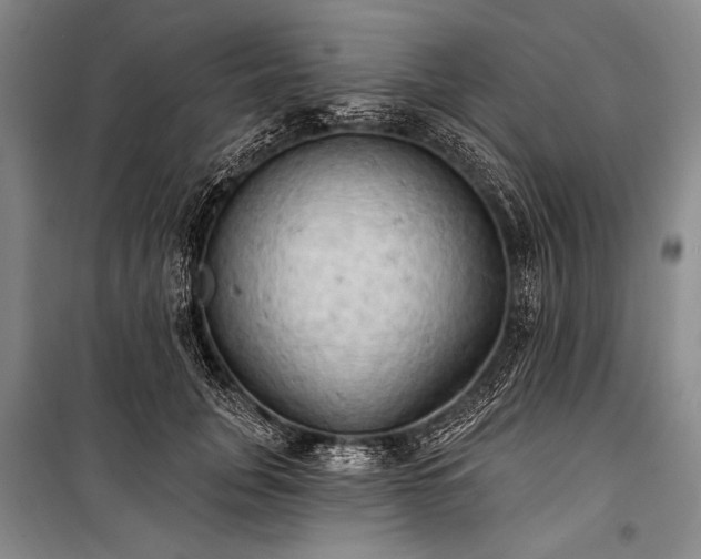 X0000101210751200806271414