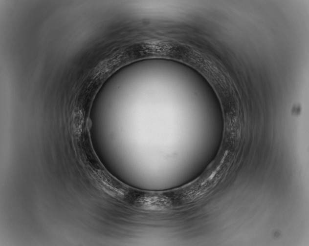 X0000101210752200806271414