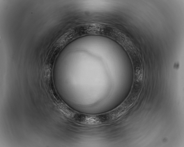 X0000101210753200806271414