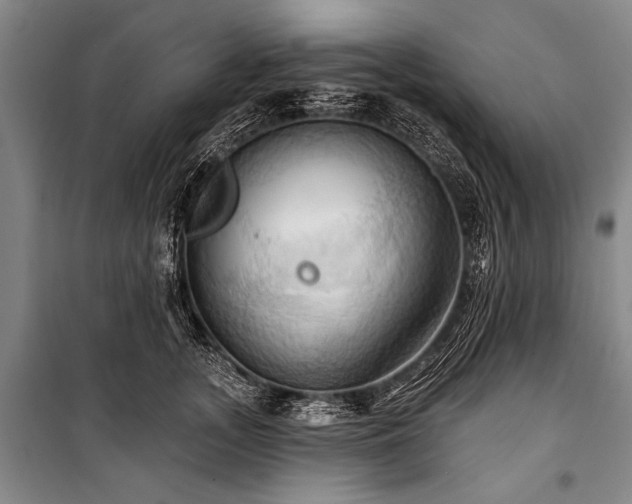 X0000101210755200806271414