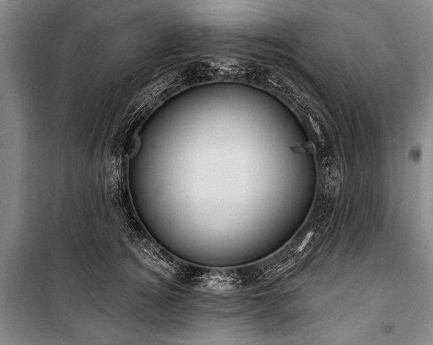 X0000101210756200806271414