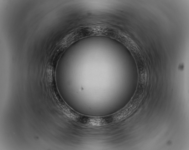 X0000101210757200806271414