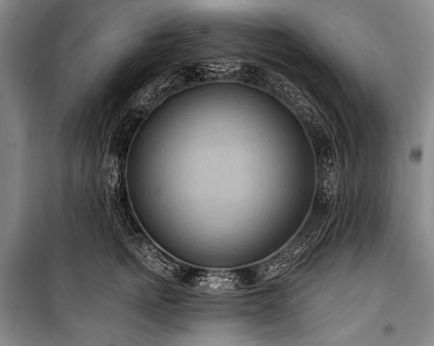 X0000101210758200806271414