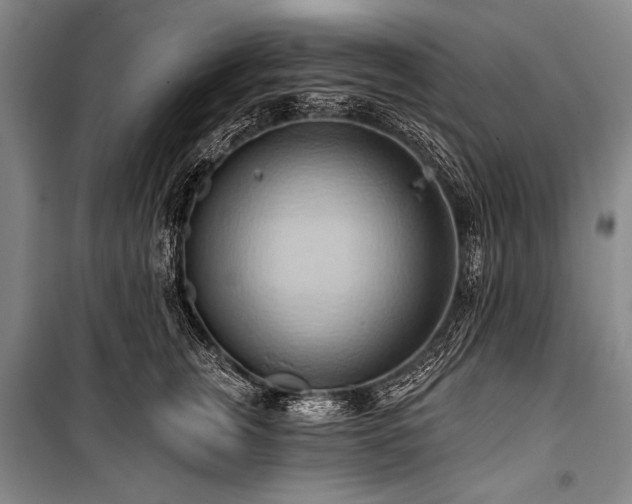 X0000101210759200806271414