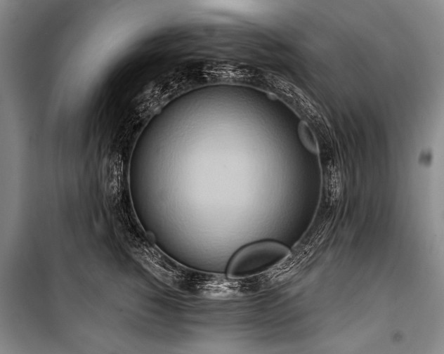 X0000101210760200806271414