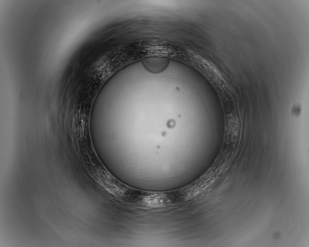 X0000101210761200806271414