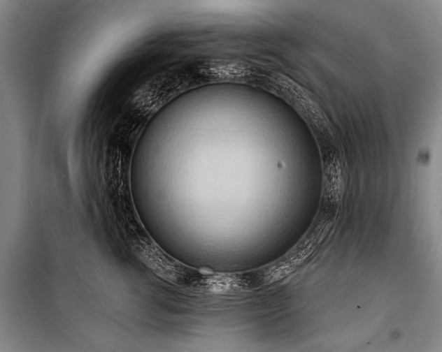 X0000101210762200806271414