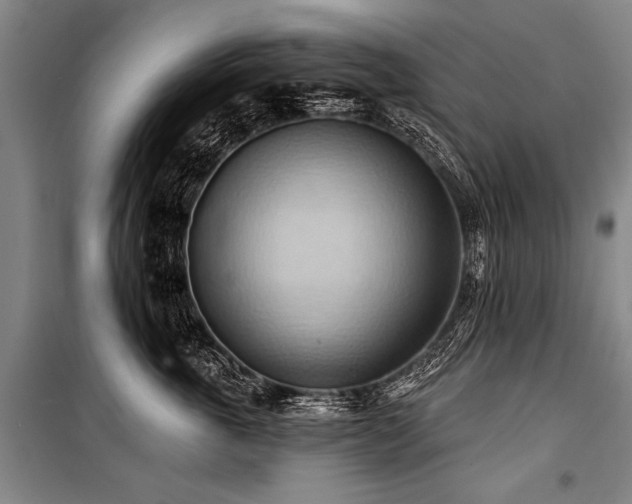 X0000101210763200806271414