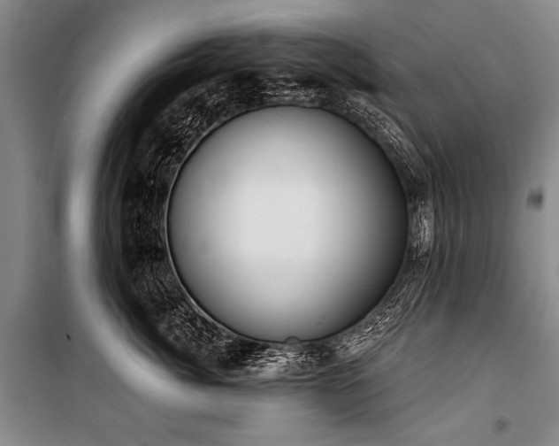 X0000101210764200806271414